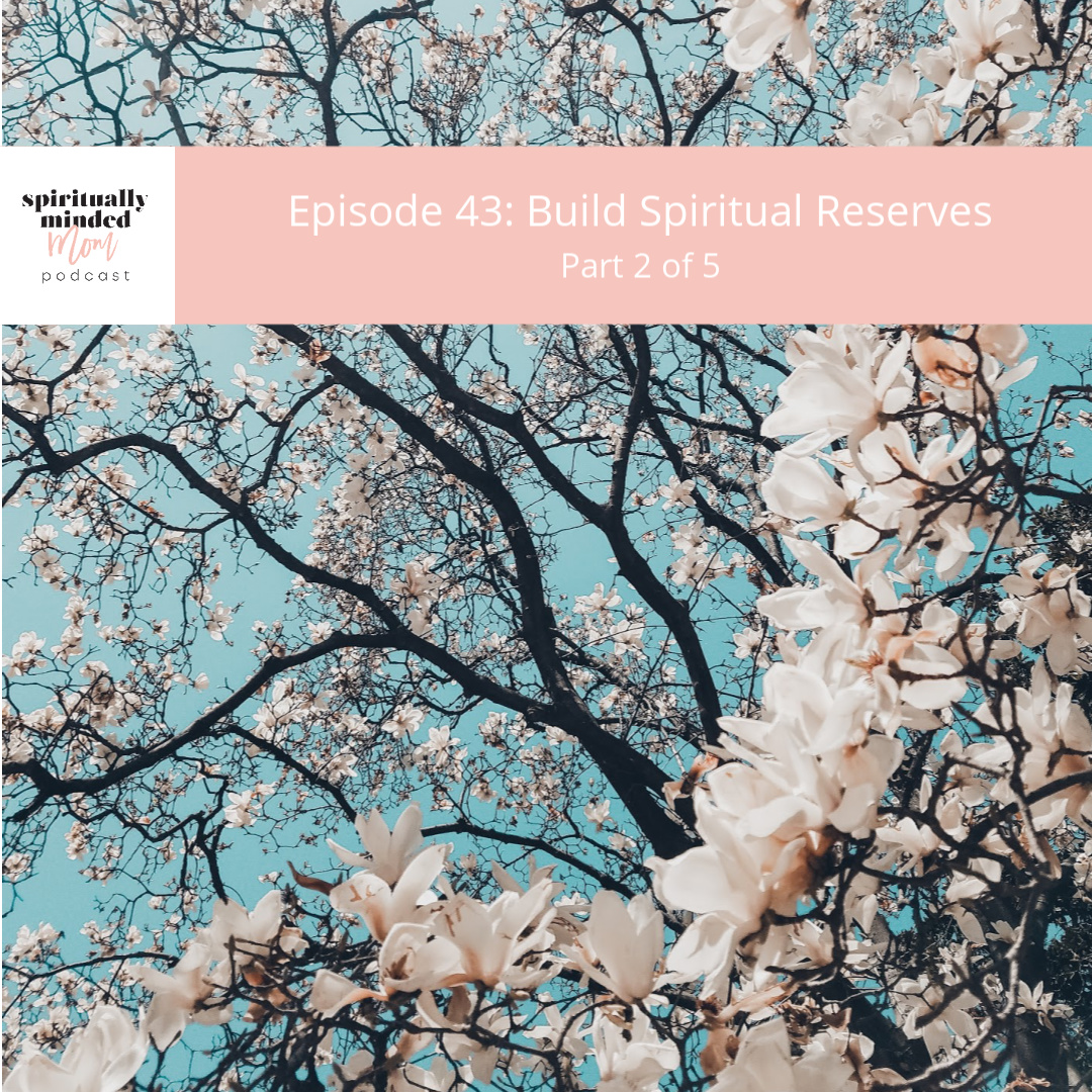 SMM 043: Build Spiritual Reserves || Part 2 of 5